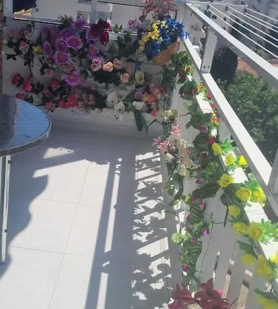 Acuario Shared Flat Piso Compartido Est Partage الشقة مشتركة Homestay Benalmadena